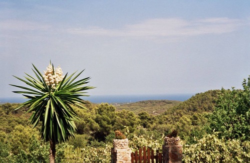 Felanitx Cottage | Finca surrounded by mountains and nature, with wonderful views