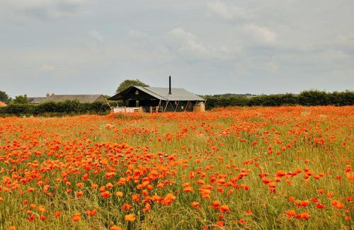 Little Walsingham Ski Chalet | Finest Retreats - Owls Nest
