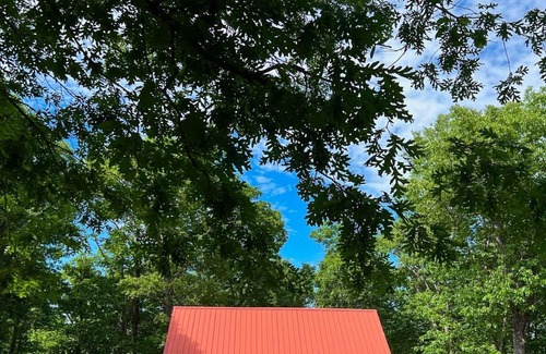 Mt. Sherman Cabin | Firefly Cottage - 11 acres & 3 miles to Kyle's Landing - Buffalo River