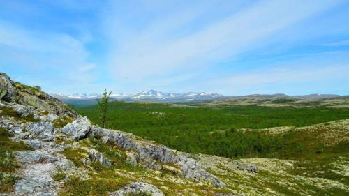 Venabygd House | Fiskebu at Flaksjøen