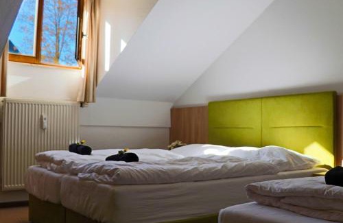 Philippsreut Apartment | FitApartman