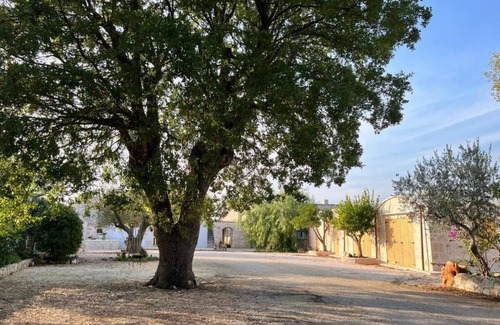 Locorotondo House | Five minutes from Locorotondo and Alberobello, cozy village of trulli and cummer