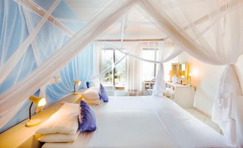 Diani Beach Bed & Breakfast | Flamboyant Diani Beach