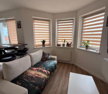 Dunajska Streda Apartment | Flamingo Apartment