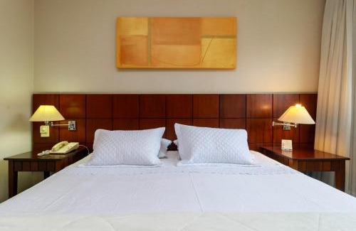 Chacara Santo Antonio Hotel | Flat Fabuloso Executivo 3