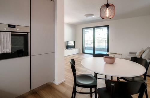 Gudo Apartment | Flat with vineyard view near Bellinzona (GRAPPOLI 28)