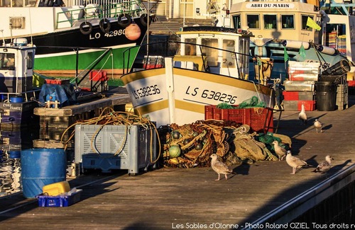 Olonne-sur-Mer Cottage | "Fleur de Sel" The alliance of the ocean and natur
