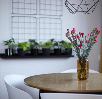 Grunwald Apartment | Flora Apartment Poznań - MTP & Park Wilsona