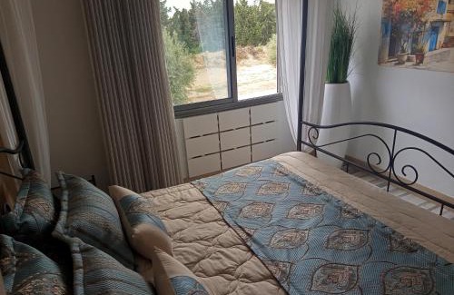 Mrezga Apartment | Florida Studio Hammamet Nord