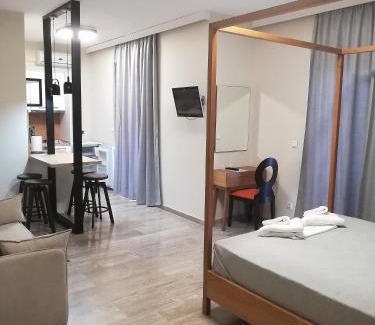 Pylos-Nestoras Apartment | Foinikounta view