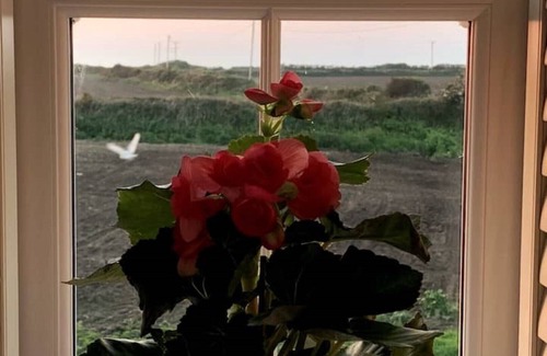 St Ives House | Folly Farm Cottage, Cosy, Secluded Near to St Ives