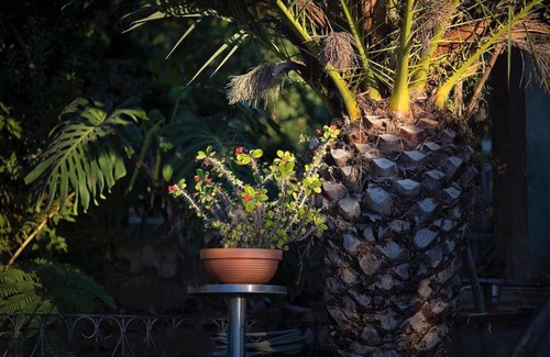 Costa de Caparica House | Fonte da telha Beach Suite