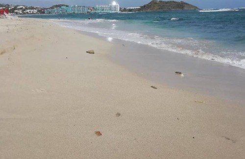 Oyster Pond House | FOR Christmas Holidays! co Ownership in West inn Hotel at St Maarten