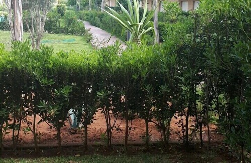Sidi Rahal Apartment | For rent a beautiful pool view apartment in Sidi Rahal