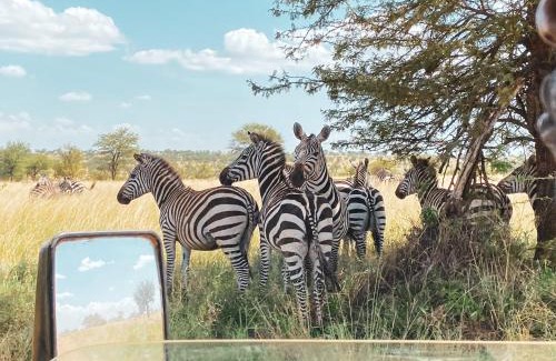 Karatu Hotel | Foresight Eco Lodge & Safari