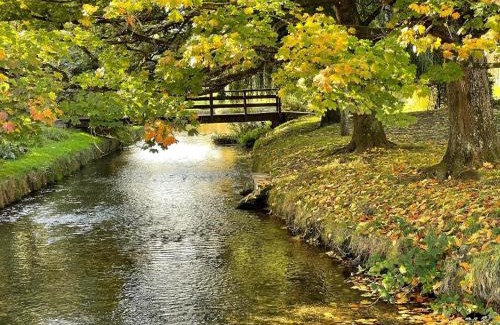 New Forest District Bed & Breakfast | Forest B & B