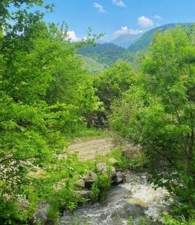Likani Apartment | Forest house - ტყის სახლი