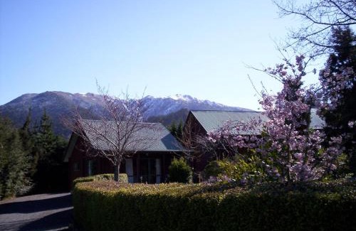 Hanmer Springs Hotel | Forest Peak Motel