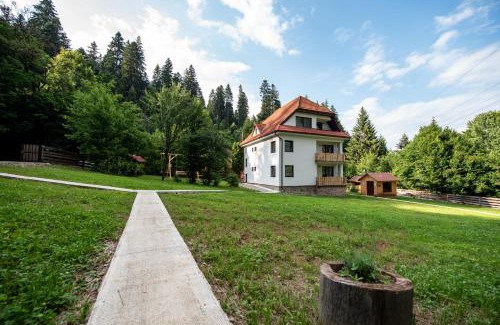Baile Tusnad Bed & Breakfast | Forest Resort