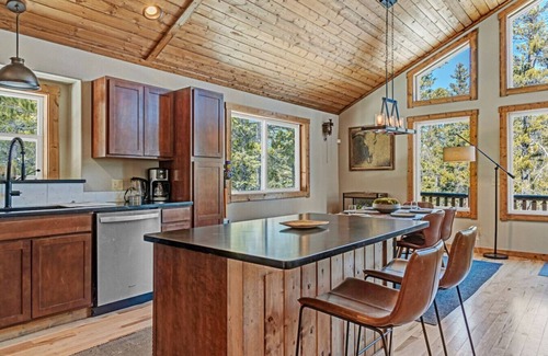 Valley of the Sun Apartment | Forest View Cabin – Near Breck & Keystone