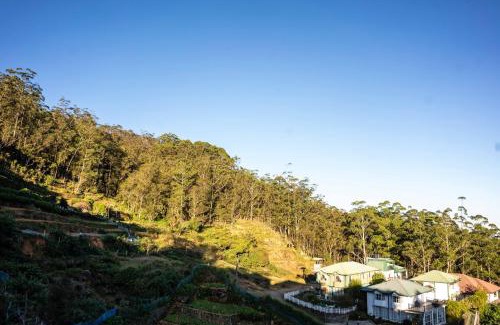 Nuwara Eliya Cabin | Forest View Lodge