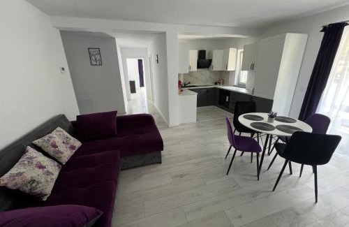 Campulung Moldovenesc Apartment | Forest View