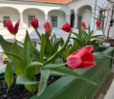 Eger Apartment | Forst-Ház Apartman
