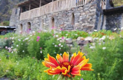 Shatili House | Fortress House Khakhabo