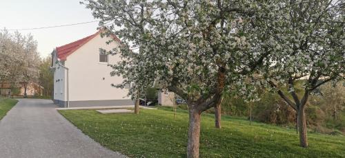 Canton 10 House | Fortuna