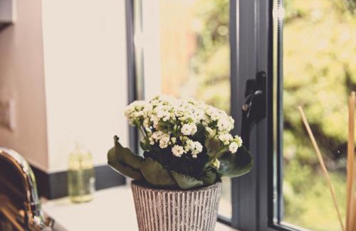 Fowey Apartment | Fowey Landing