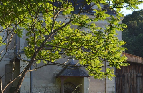 La Chapelle-Blanche-Saint-Martin House | Profitez de la Touraine Dans un Cadre Dexception