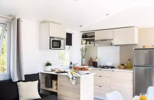 Saint-Martin-Lars-en-Sainte-Hermine House | Mobil Home Privilège Melusine - 2 bedrooms 4 persons