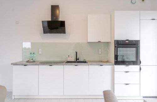 Katowice Apartment | Francuska Comfort Apartment by BookingHost