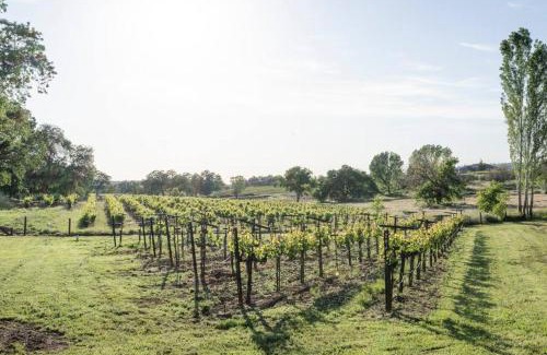 Shenandoah Valley House | Fraser Family Vineyard Estate Pet-Friendly Home