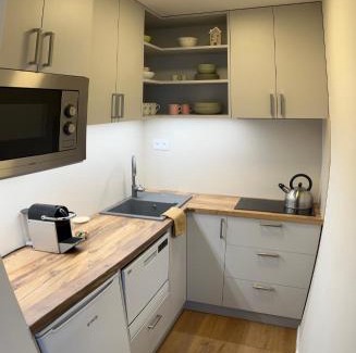 Janov nad Nisou Apartment | Frederika