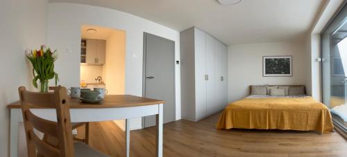 Janov nad Nisou Apartment | Frederika