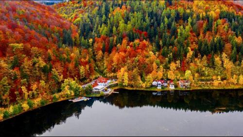 Walim Bed & Breakfast | Fregata