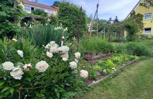 Oetisheim House | Freilandhof