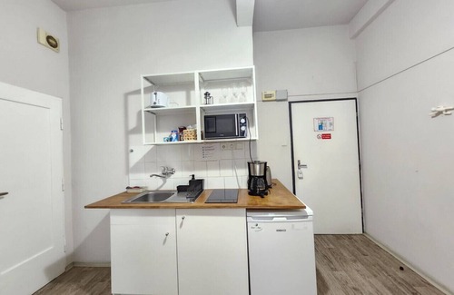 Zizkov Apartment | Fresh flat by tram Zizkov sleeps 6