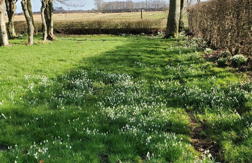 Hinte Apartment | Friesenborg - Fewo Klein Sande - Holiday apartment Bauernstube