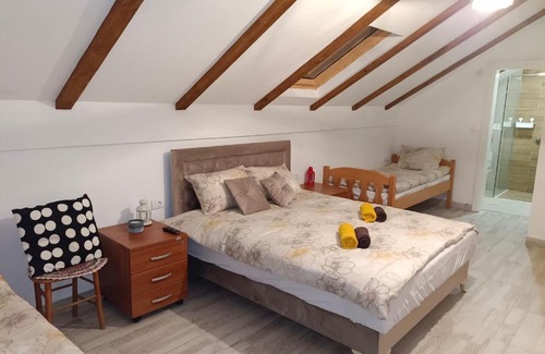 Petrovaradin Apartment | Fruškogorski Đeram