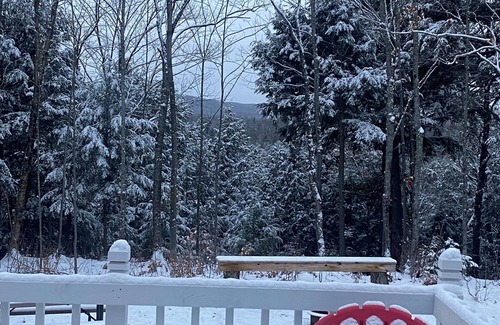 White Pine House | Full House on secluded road, 4 bed 2 bath, fully furnished basement w/bar + beds