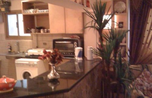 Agouza Apartment | Fully Equipped ,3 BR ,centrally located flat in Mohandsseen