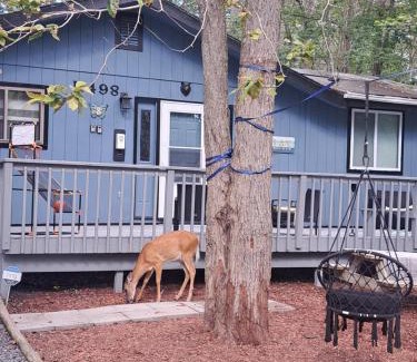 Tobyhanna House | Fun Home in Pocono with Gameroom-Firpit-BBQ Grill-TV and AC in all rooms