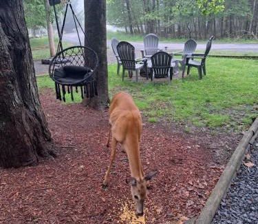 Tobyhanna House | Fun Home in Pocono with Gameroom-Firpit-BBQ Grill-TV and AC in all rooms