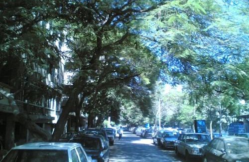 Agouza Apartment | Furnished Flat in Cairo zero one zero one zero six seven nine two four four