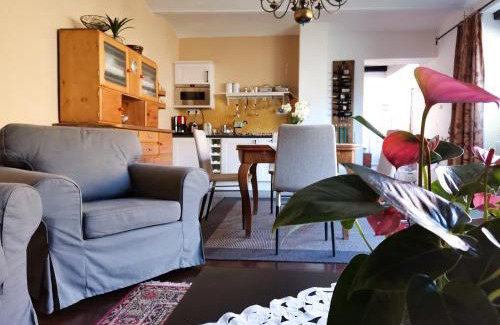 Purbach am Neusiedlersee Apartment | Gästehaus Doris