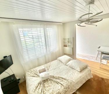 Schonenwerd Apartment | Gästehaus MaryVitty, zentrale zwischen Aarau und Olten, gut verbunden