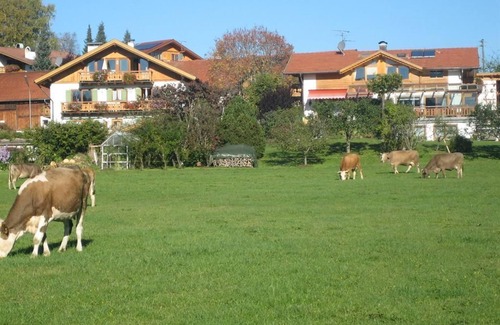 Bad Bayersoien Apartment | Gästehaus Schönblick - Apartment Edelweiss