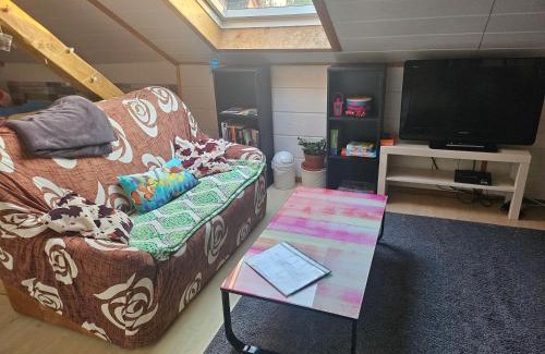 Unterallgau Apartment | GästeZimmer im Altbau Dachgeschoss mit kleinem Bad WLAN, TV und Parkplatz